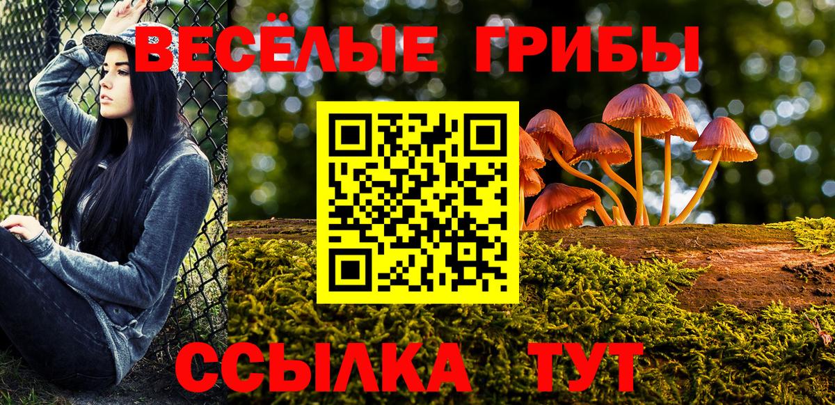 Псилоцибиновые грибы Psilocybe  Вход с VPN  Юрга  Псилоцибиновые грибы Psilocybine cubensis 